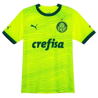 Günstige Palmeiras 3. Ausweichtrikot 2023/24